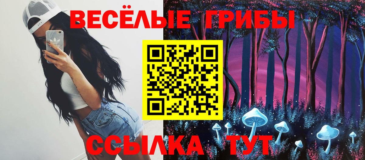 Учалы  Галлюциногенные грибы Psilocybine cubensis  Псилоцибиновые грибы Cubensis  Вход с VPN 